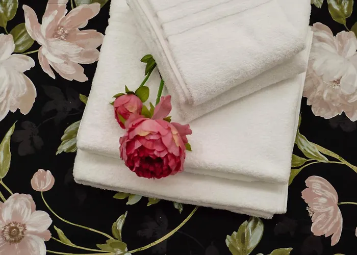 Pensión Centro Solferino 4*