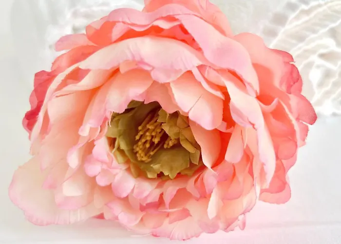 Centro Solferino Pensión