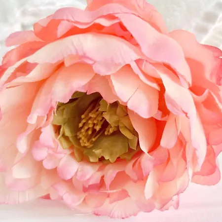 Centro Solferino Vendégház